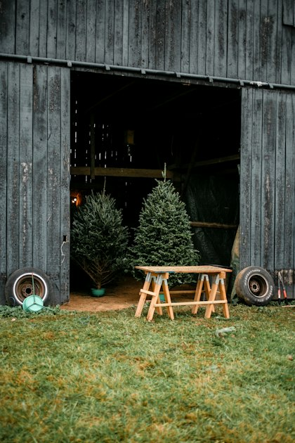 Events at 14 Hands Farm